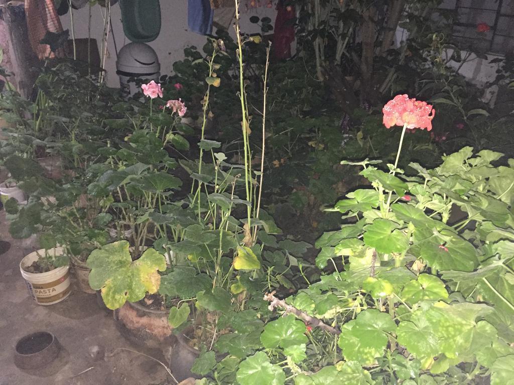Casa Mirita Apartman Cajamarca Kültér fotó