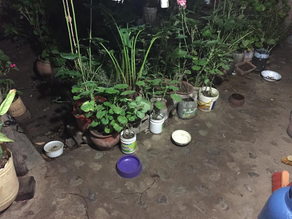 Casa Mirita Apartman Cajamarca Kültér fotó